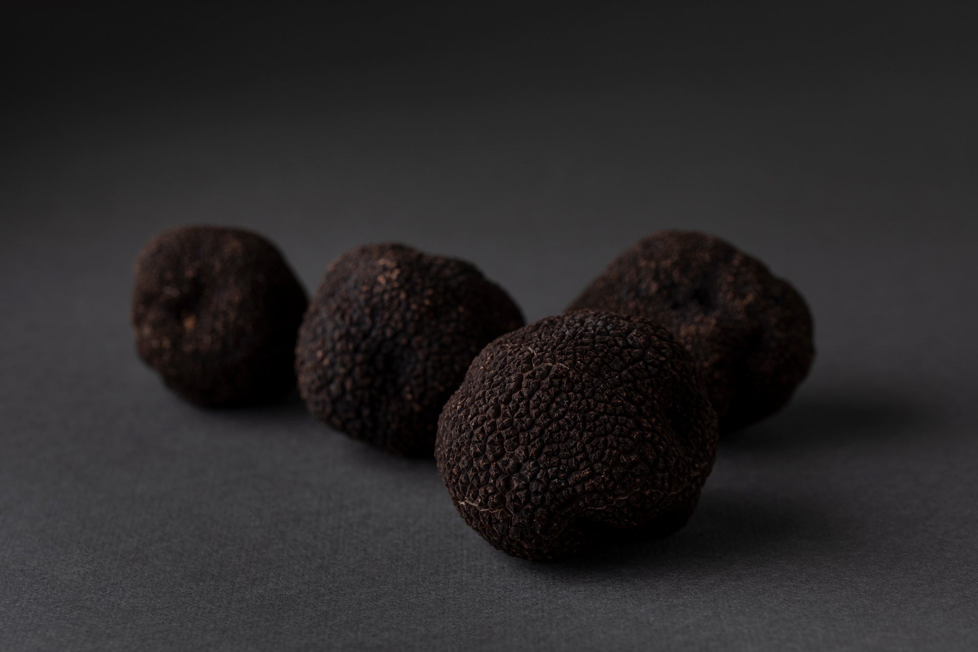 Truffe Noire Prix