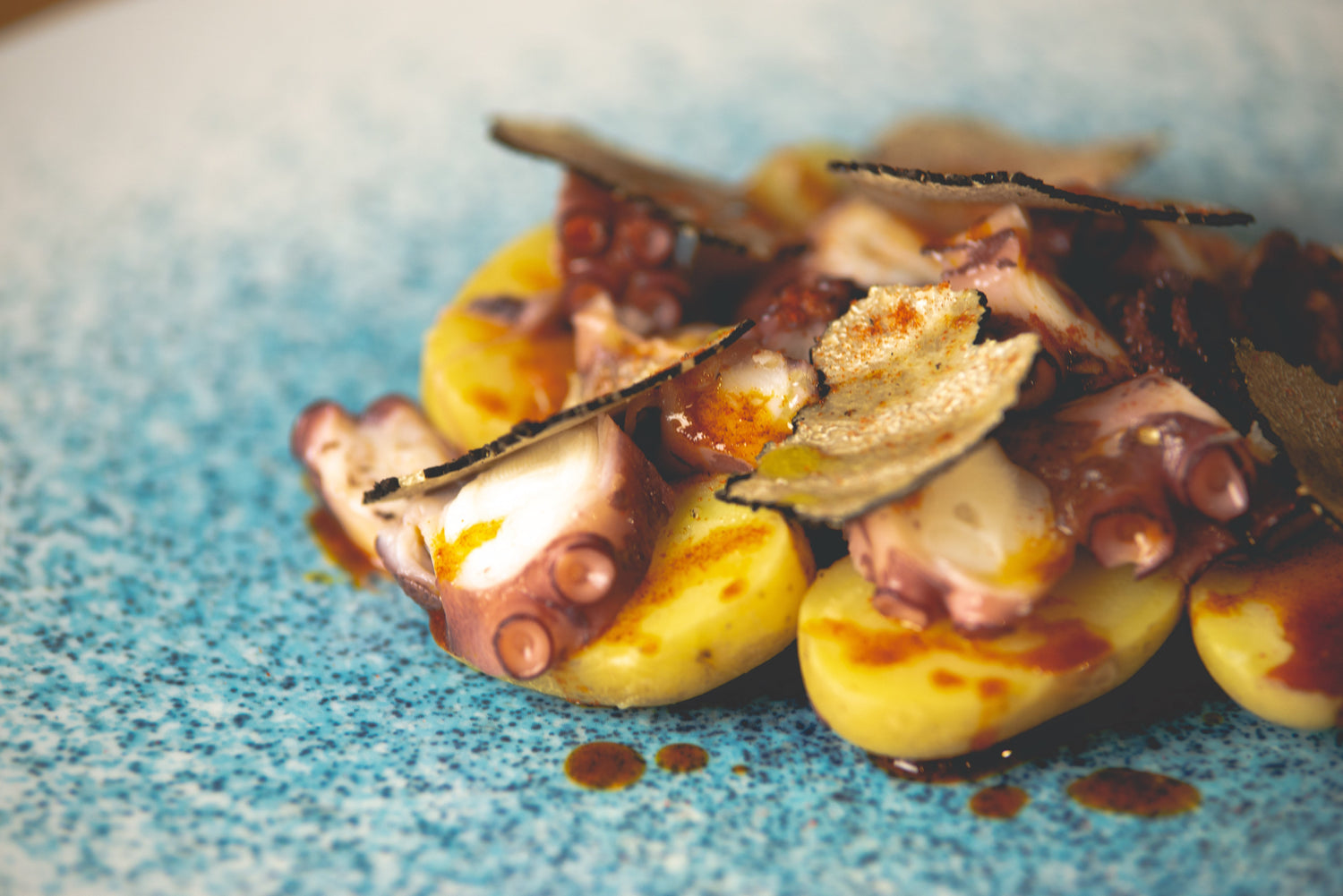 Poulpe à la galicienne avec truffe d’été