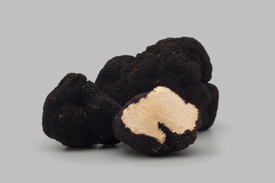 La Truffe d’été