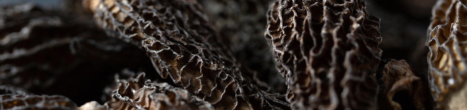 Champignons Secs | Déshydratés