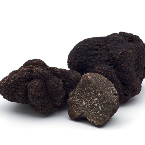 Brisures de truffe noire du Périgord 12,5 g Tuber melanosporum