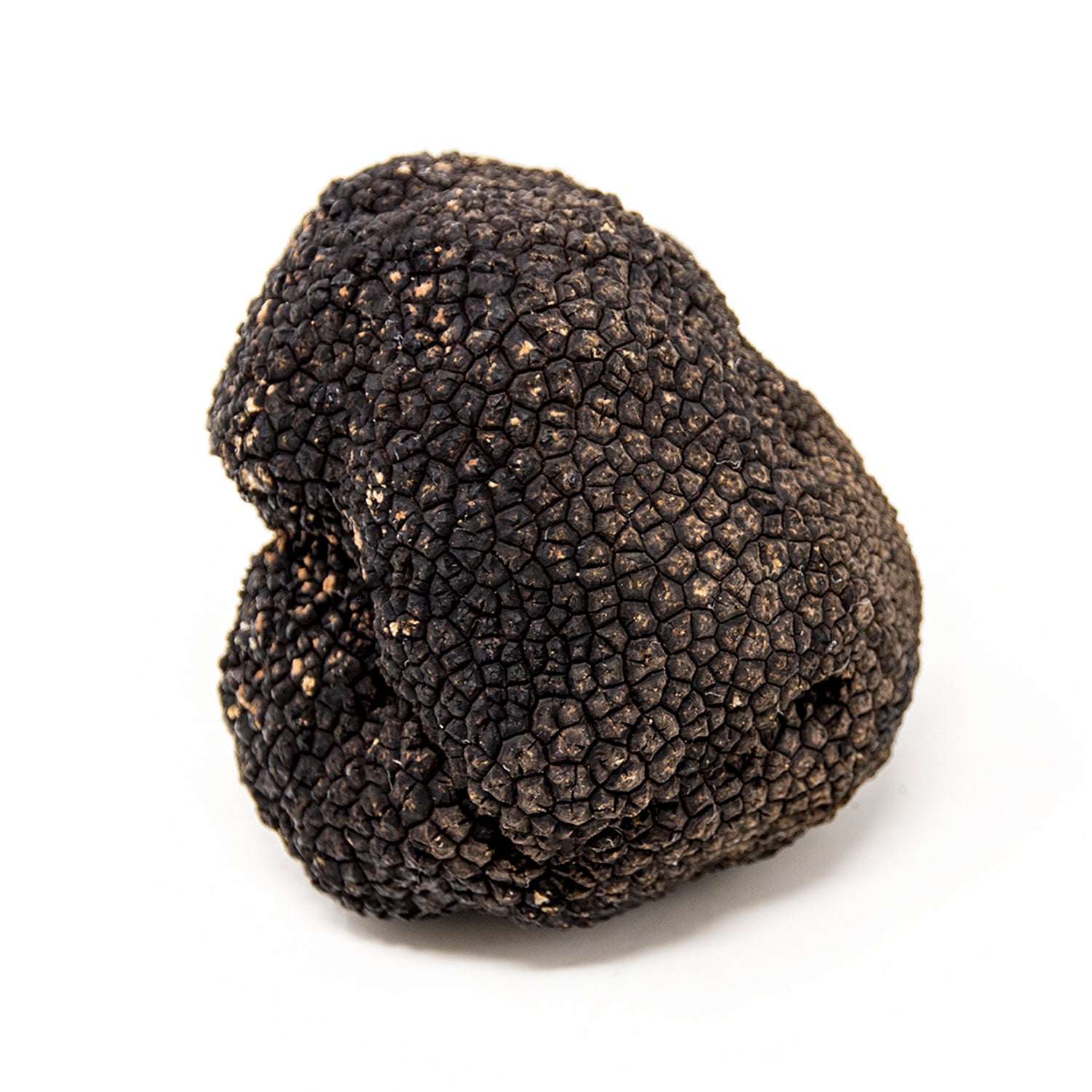 Truffe d’Été (Tuber Aestivum)