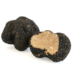Truffe Noire Melanosporum - Acheter Truffes Fraîches – LAUMONT FRANCE