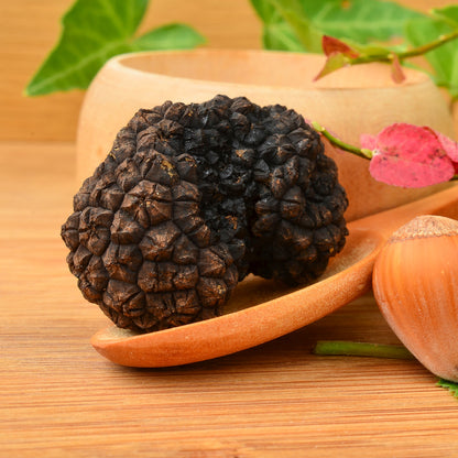 Truffe d’Automne Uncinatum