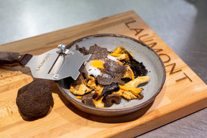 Râpe à truffes professionnelle en acier inoxydable Trancheuse Mandoline  Rasoir pour chocolat Fromage Légumes Trancheuse à truffes Lame réglable