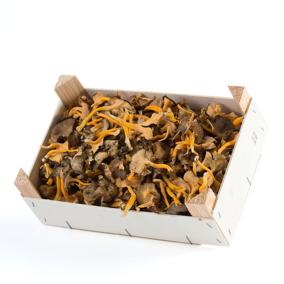 Chanterelle Jaune